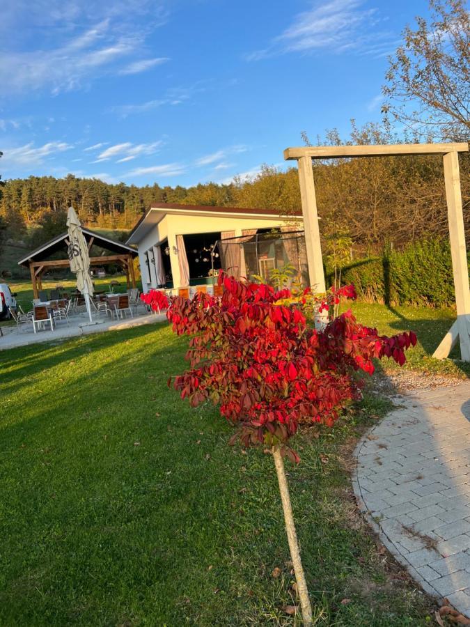 Pensiunea Baroc Dobirlau Esterno foto